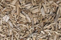 biomass boilers Trefilan